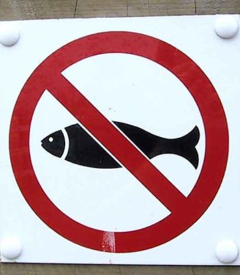 No Fish